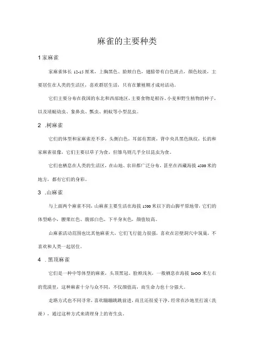 麻雀的主要种类