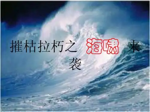 摧枯拉朽之  海啸  来袭