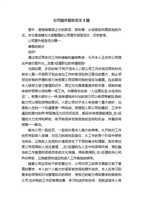 公司晋升报告范文3篇