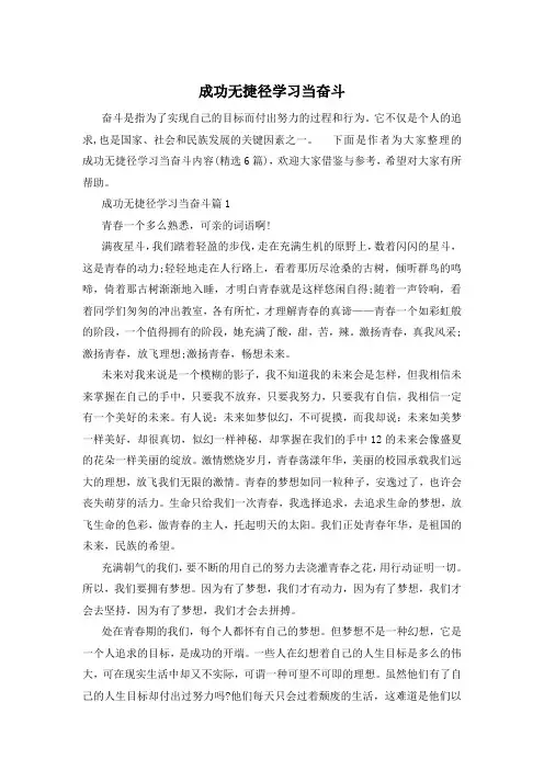 成功无捷径学习当奋斗