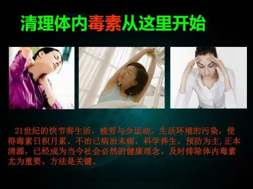 完美沙棘茶(王)