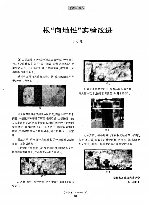 根“向地性”实验改进