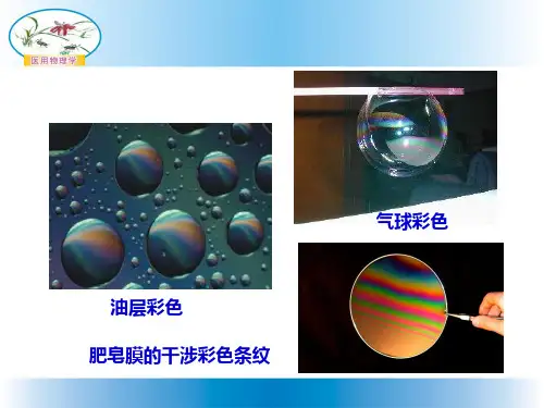 波动光学2