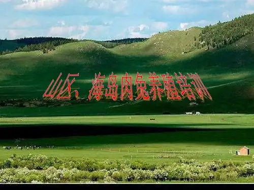肉兔养殖培训