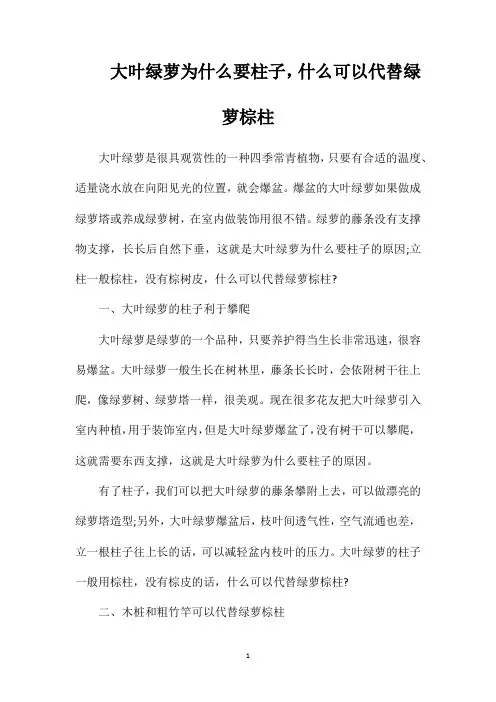 大叶绿萝为什么要柱子,什么可以代替绿萝棕柱