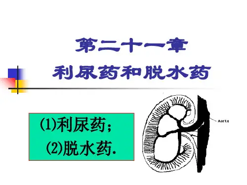 《利尿药和脱水药》PPT课件