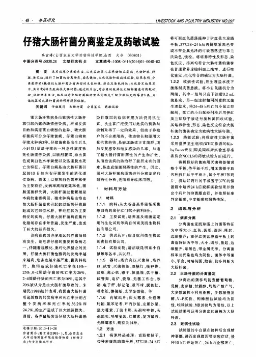 仔猪大肠杆菌分离鉴定及药敏试验