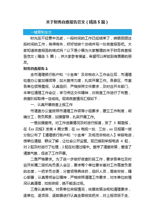关于财务自查报告范文（精选5篇）