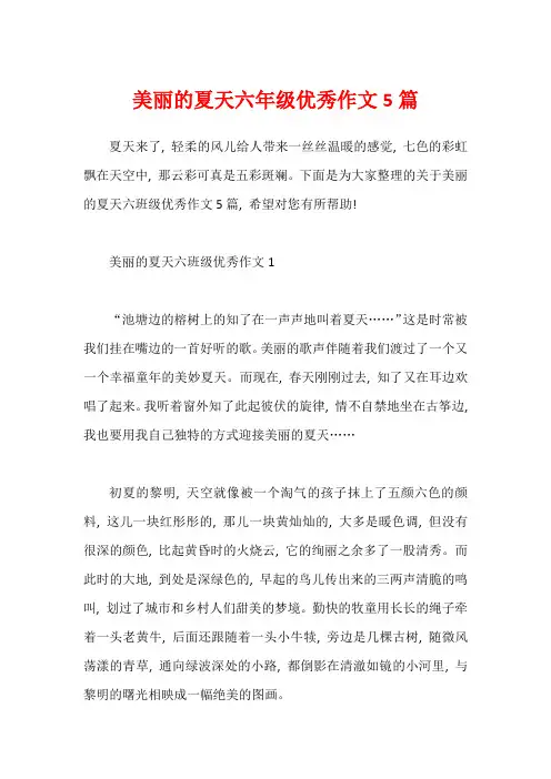 美丽的夏天六年级优秀作文5篇