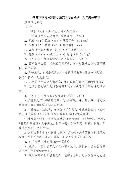 中考复习积累与运用专题练习语文试卷  九年级总复习