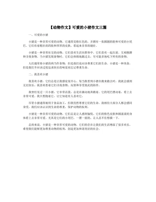 【动物作文】可爱的小猪作文三篇
