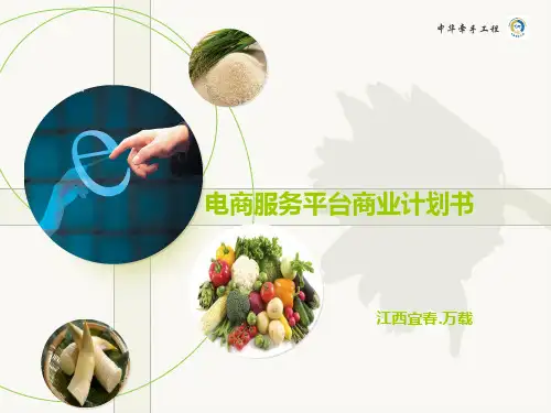 农村电商平台商业计划书