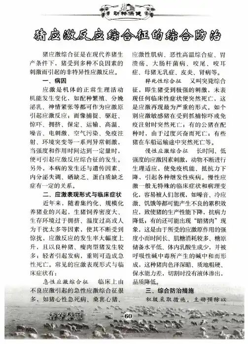 猪应激反应综合征的综合防治