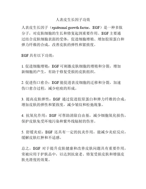 人表皮生长因子功效
