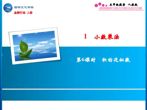 1  第6课时 积的近似数