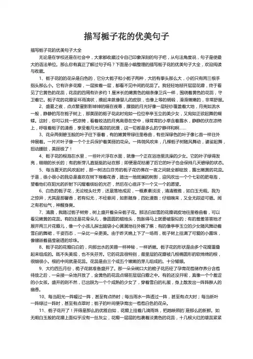 描写栀子花的优美句子大全