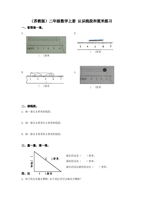 苏教版二年级上册数学《认识线段和厘米练习(一)》同步训练