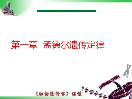 动物遗传学-第一章  孟德尔遗传定律
