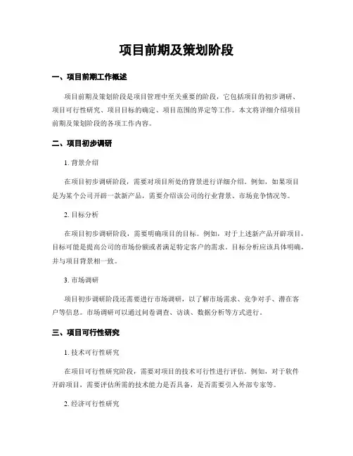 项目前期及策划阶段