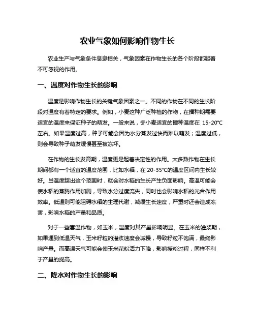 农业气象如何影响作物生长