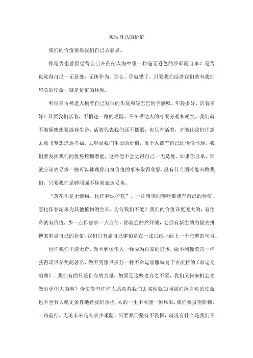 实现自己的价值800字作文