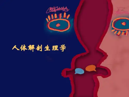 人体解剖生理学--人体基本结构概述  ppt课件