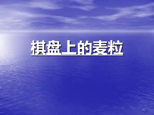 棋盘上的麦粒ppt课件