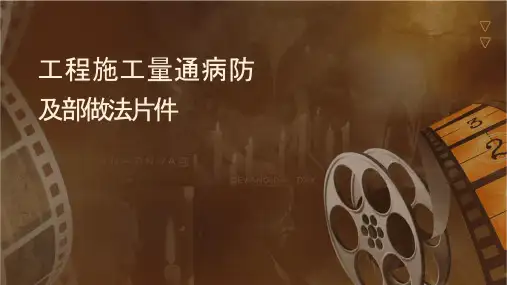 创优工程施工质量通病防治措施及细部优质做法照片课件