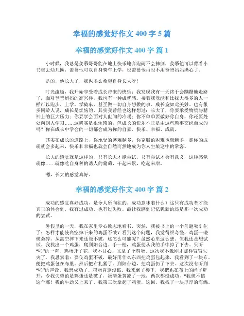 幸福的感觉好作文400字5篇
