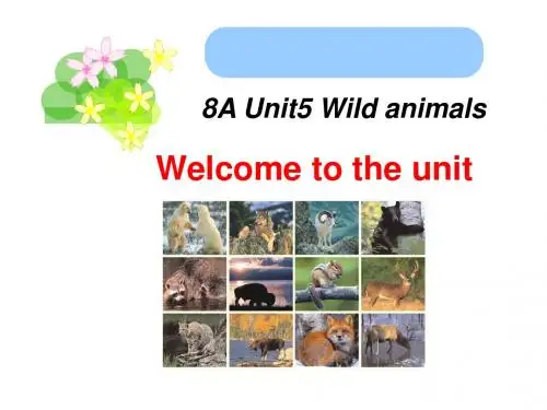 8上 Unit5 Wild animals Welcome to the unit