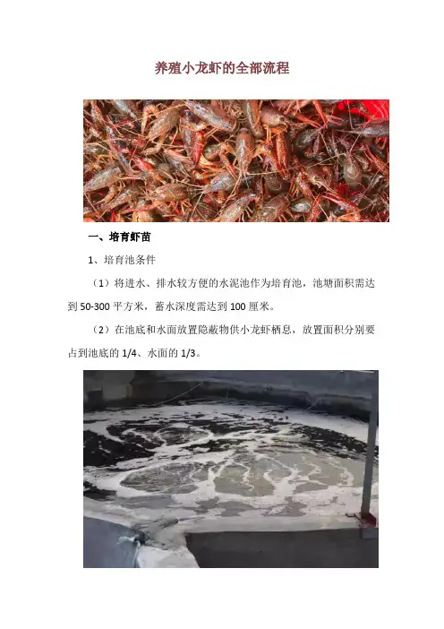 养殖小龙虾的全部流程
