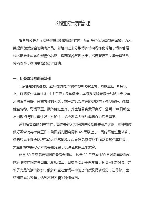 母猪的饲养管理