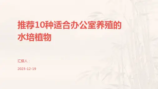 推荐10种适合办公室养殖的水培植物
