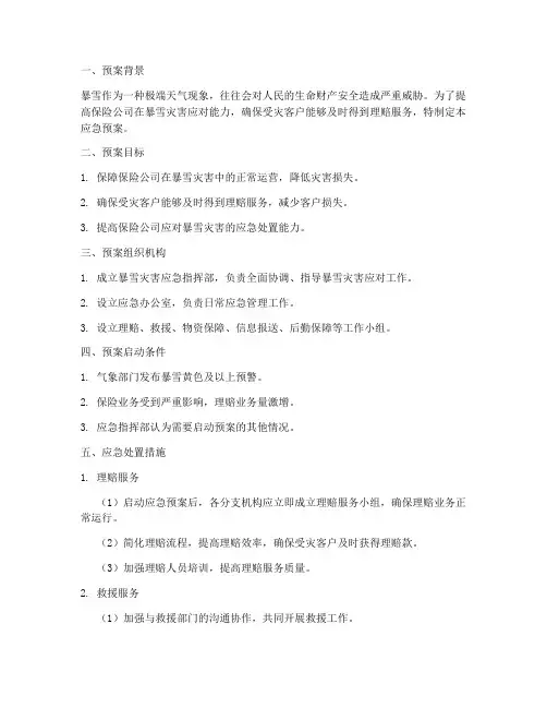 保险暴雪应急预案
