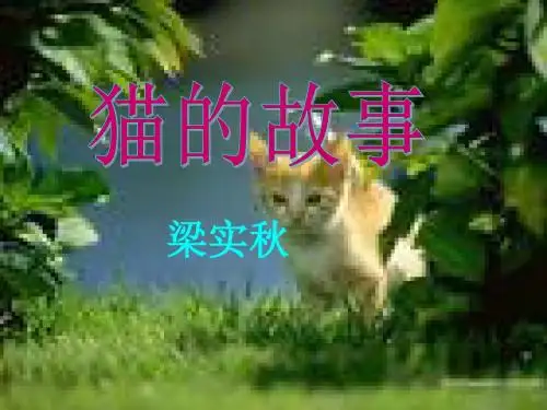 猫的故事PPT课件3 北师大版 (共10张PPT)