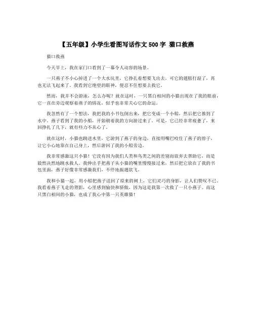 【五年级】小学生看图写话作文500字 猫口救燕