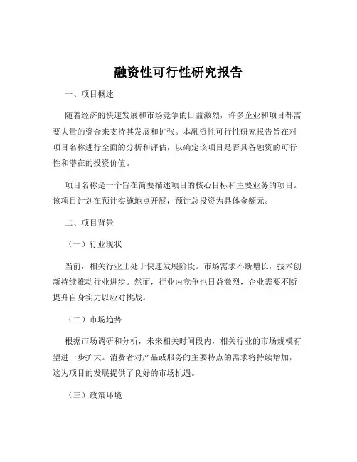 融资性可行性研究报告