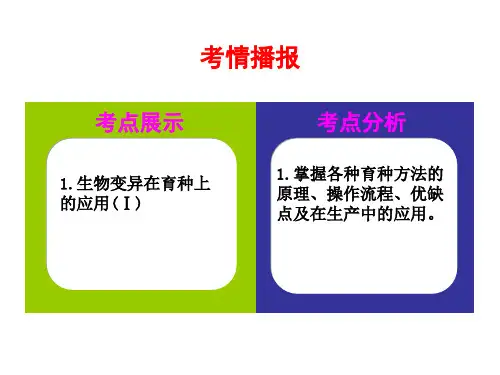 从杂交育种到基因工程教学课件PPT