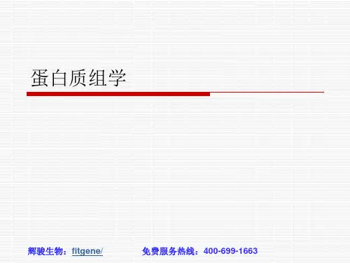蛋白质组学-PPT课件