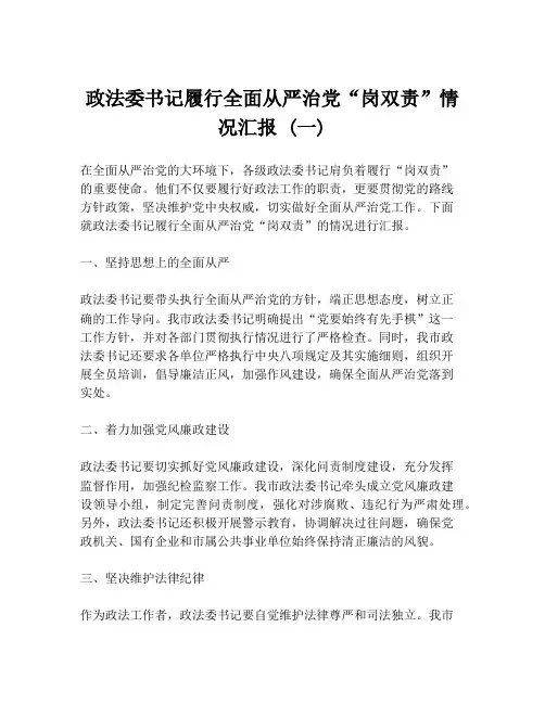 政法委书记履行全面从严治党“岗双责”情况汇报 (一)