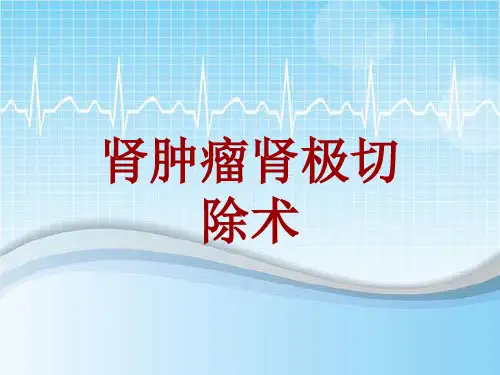 外科手术教学资料：肾肿瘤肾极切除术讲解模板