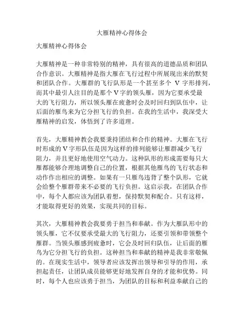 大雁精神心得体会