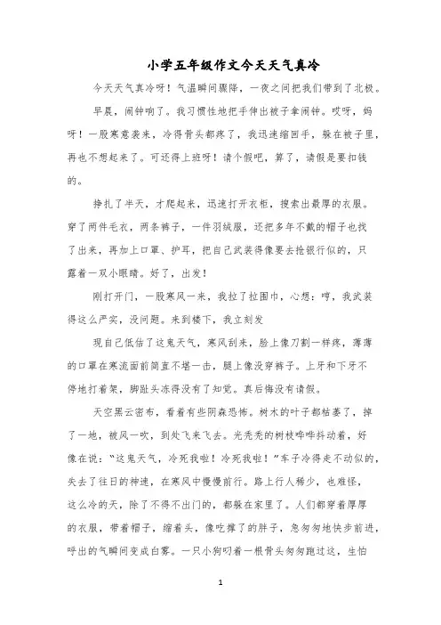 小学五年级作文今天天气真冷