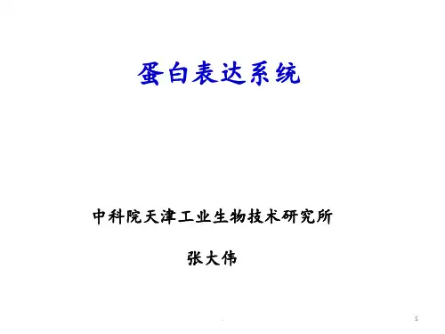 1-大肠杆菌表达体系介绍PPT课件