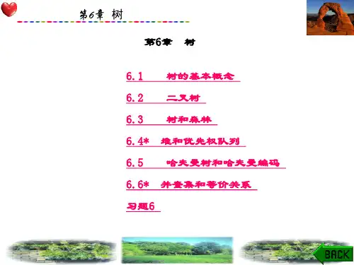 精品课件-数据结构-C语言描述-第6章