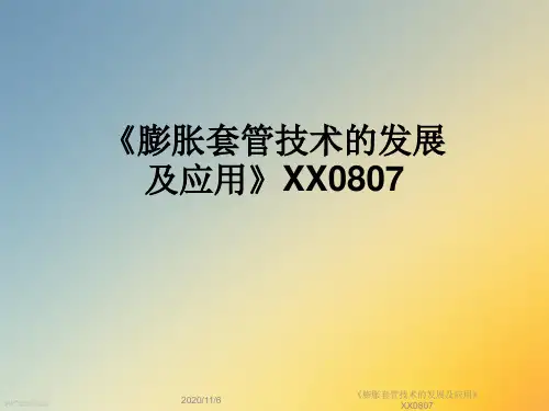 《膨胀套管技术的发展及应用》XX0807