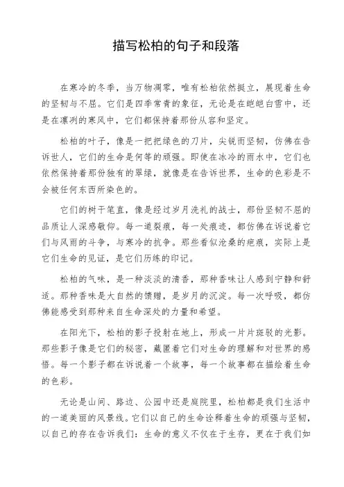 描写松柏的句子和段落