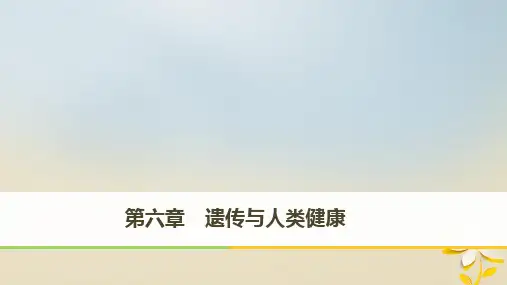 2017-2018学年高中生物 第六章 遗传与人类健康 浙科版必修2