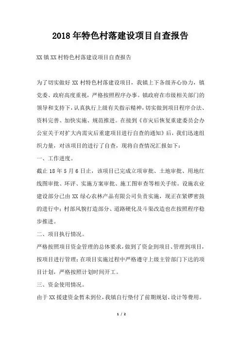 特色村落建设项目自查报告