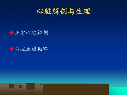 最新心脏正常超声表现PPT课件